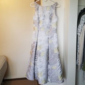 Beautiful Silver and Gold Midi Dress